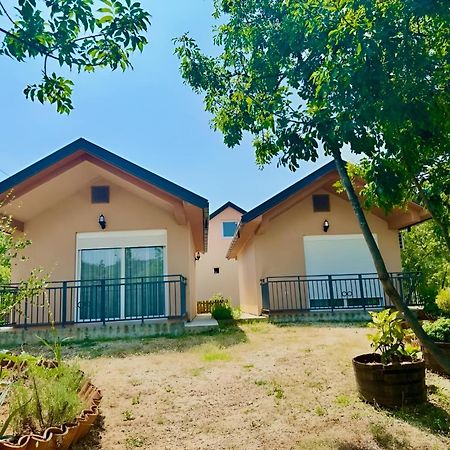 S&M Apartments Rijeka Crnojevića Eksteriør billede
